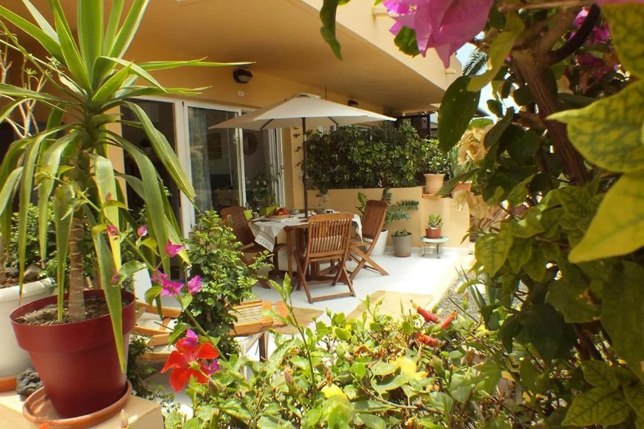Casa Dan 